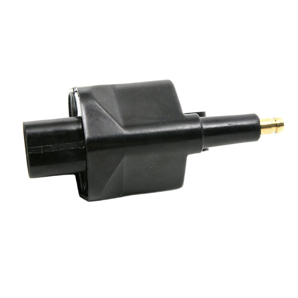 Ignition Coil  Delphi  GN10172