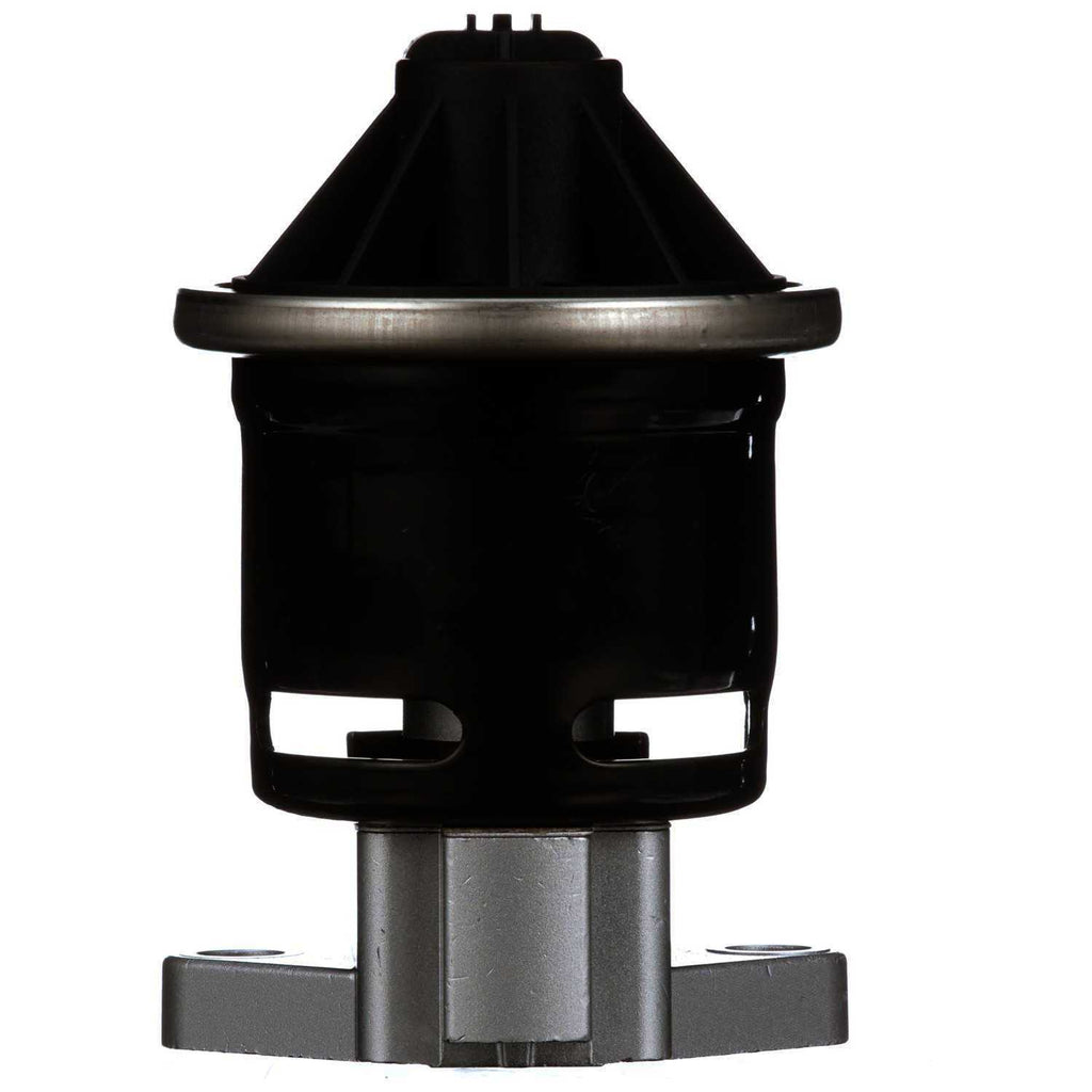 EGR Valve  Delphi  EG10499