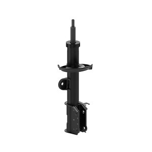 Frt OESpectrum Strut  Monroe/Expert Series  73021