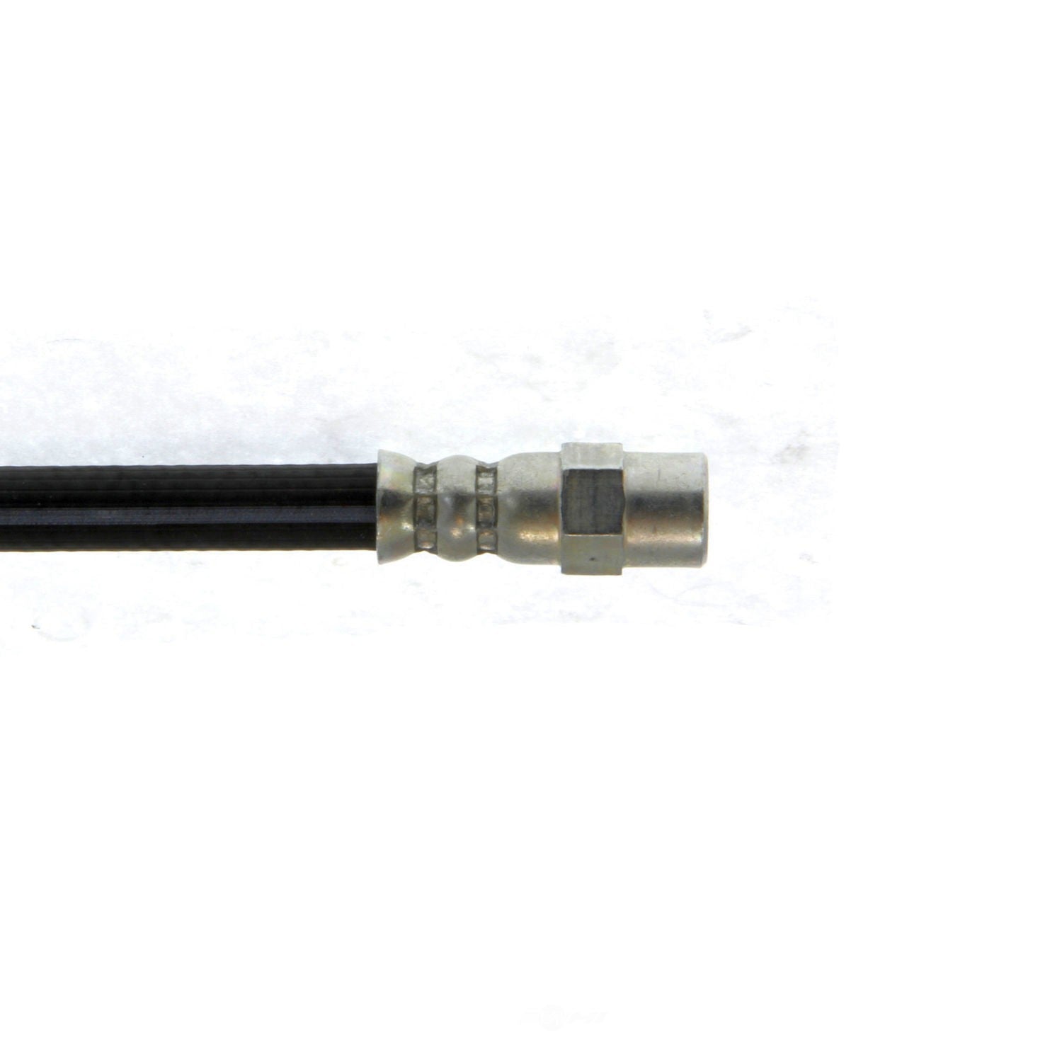 Rr Brake Hose  Centric Parts  150.33335