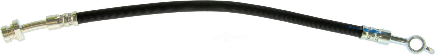 Rr Brake Hose  Centric Parts  150.50374