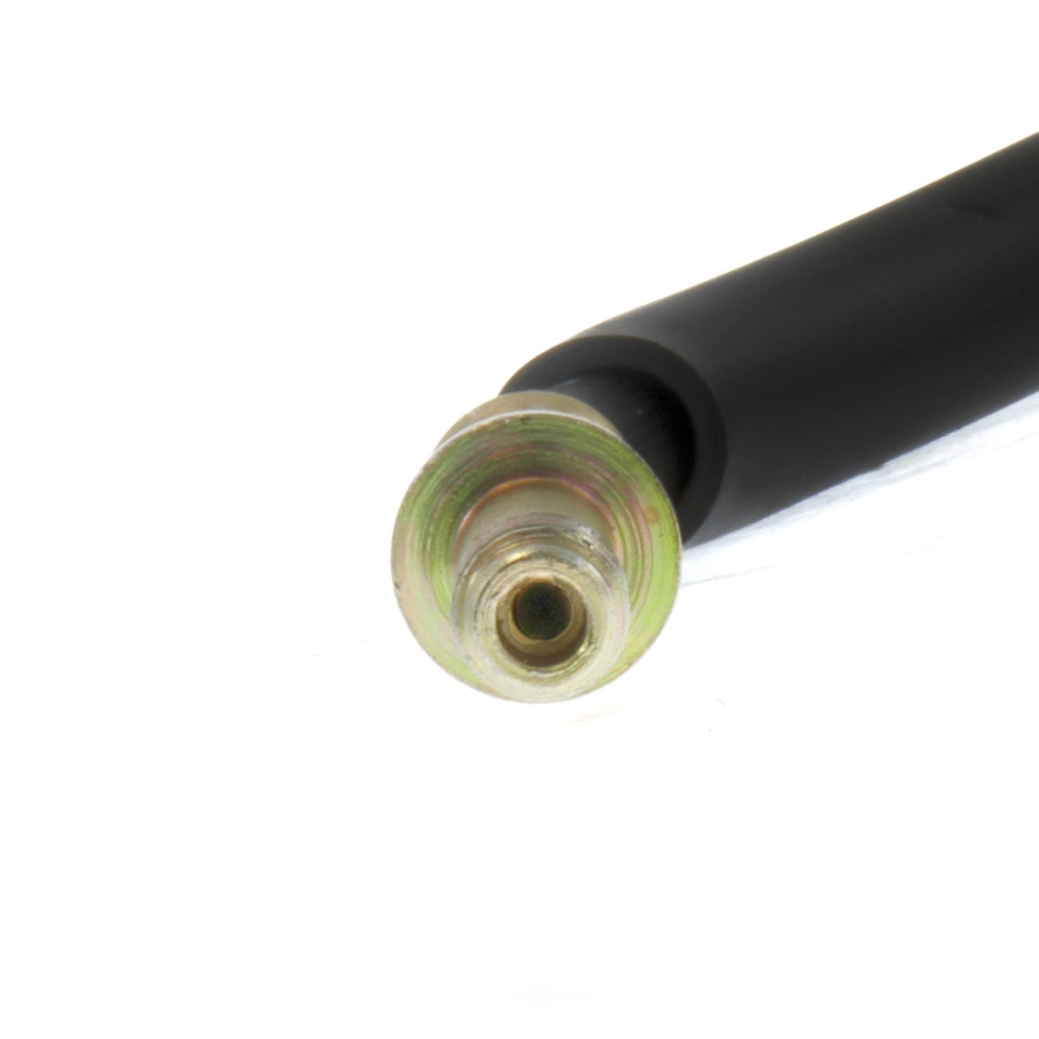Rr Brake Hose  Centric Parts  150.33375