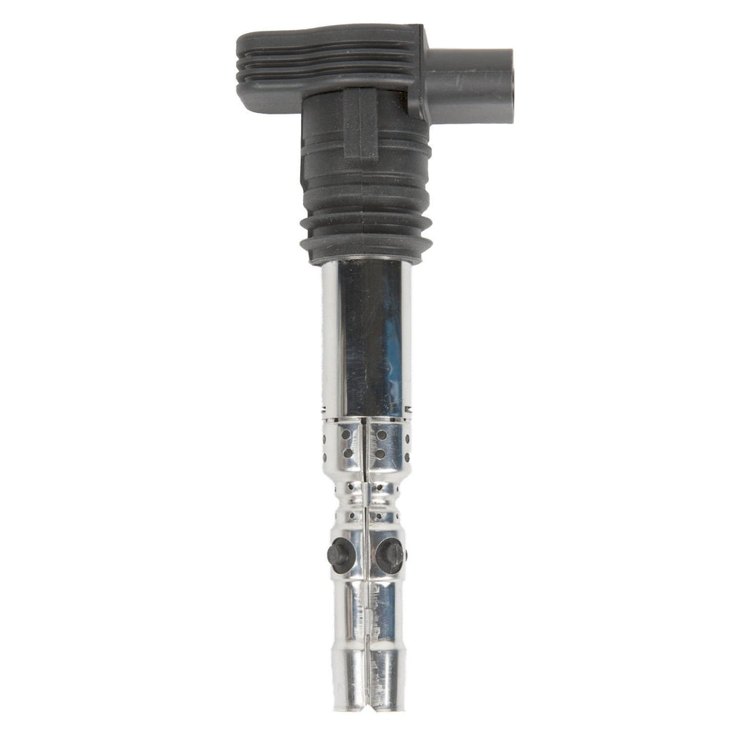 Ignition Coil  Delphi  GN10345