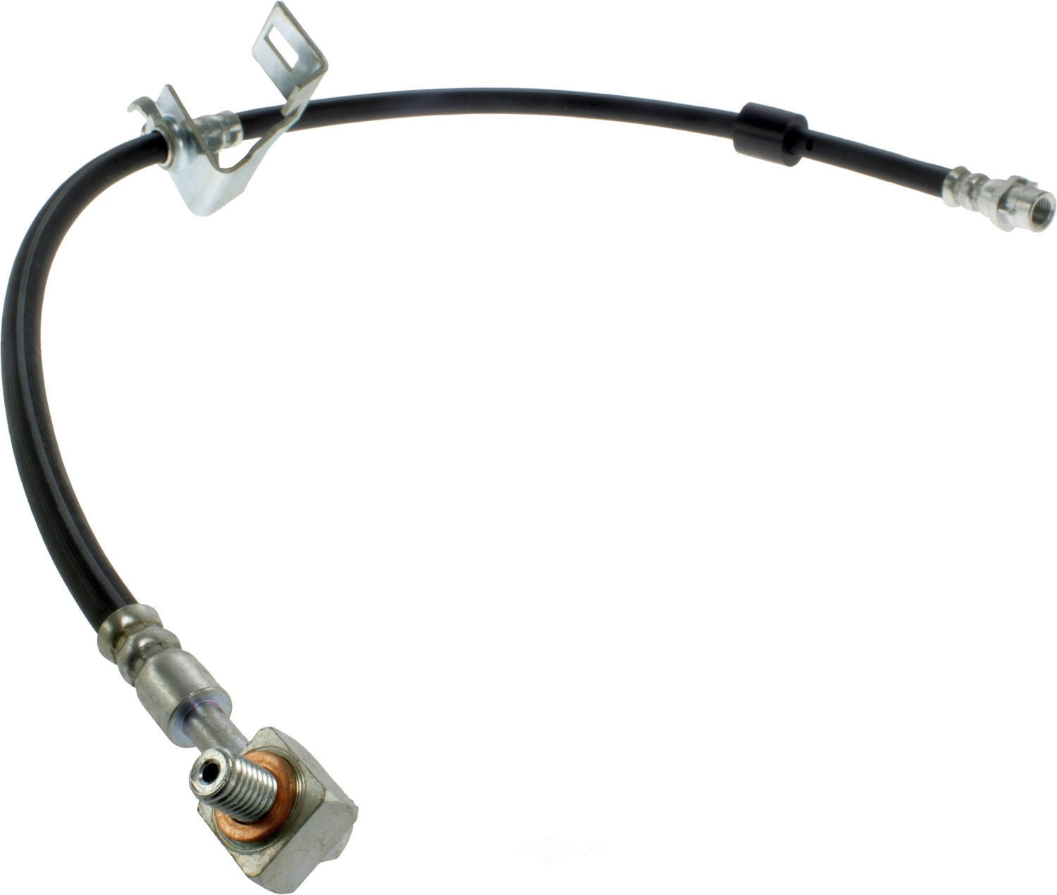 Rr Brake Hose  Centric Parts  150.62455