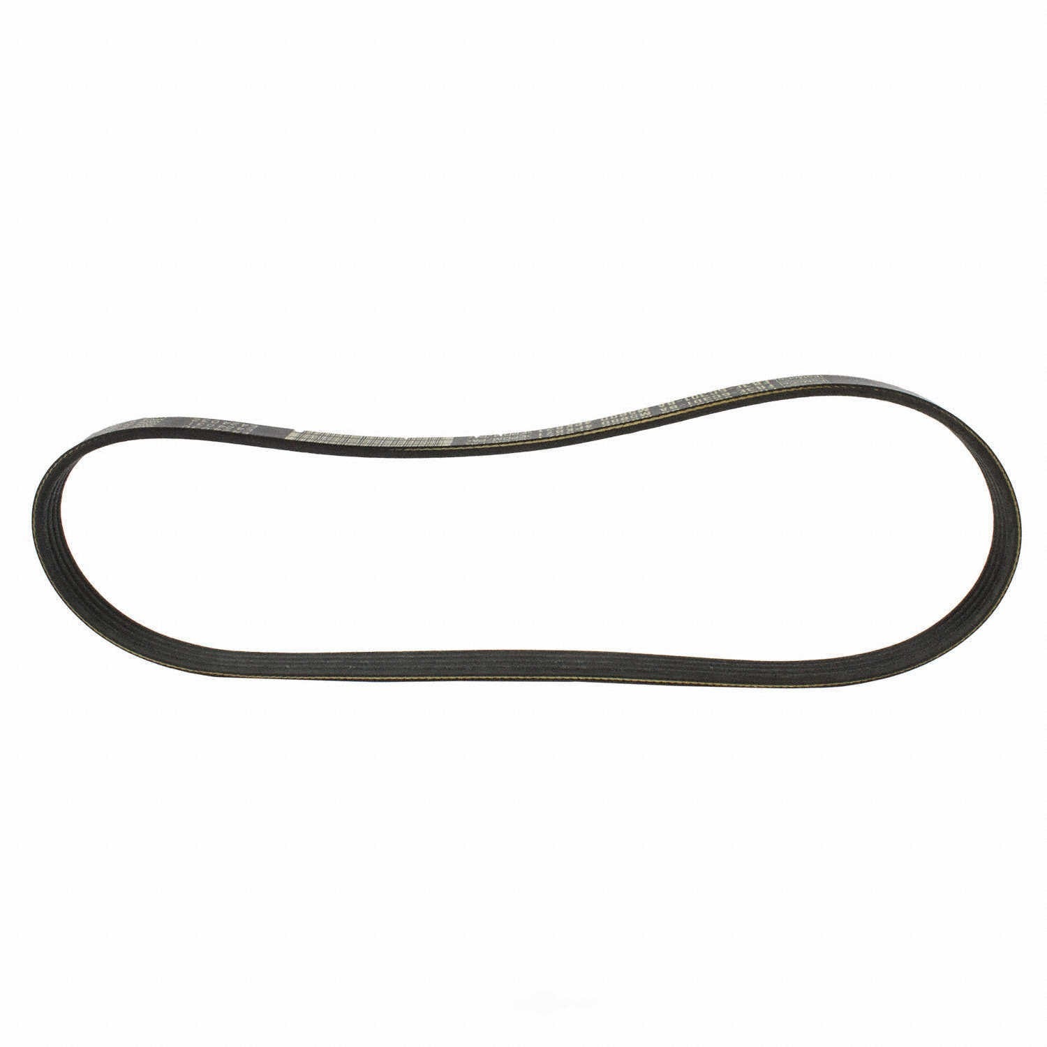 Serpentine Belt  Motorcraft  JK4-331