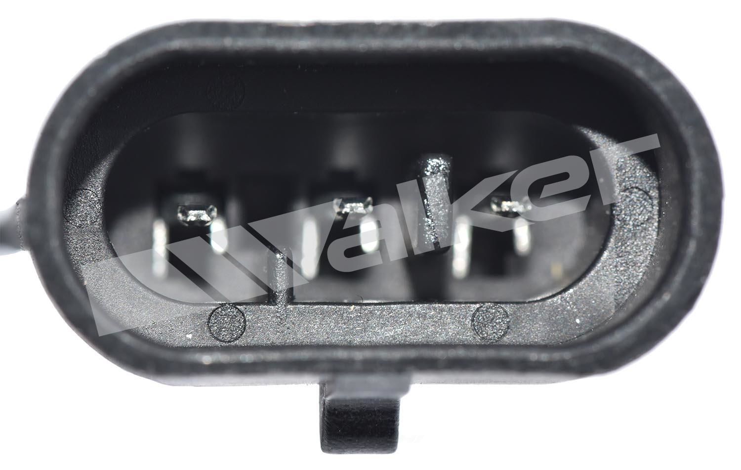 Air Mass Sensor  Walker Products  245-2162
