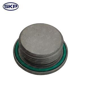 Diff Drain Plug  Skyward Automotive  SKY01451
