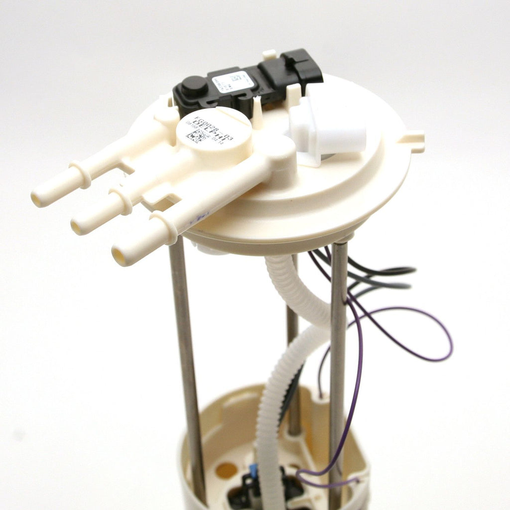 Fuel Pump Module Assy  Delphi  FG0028