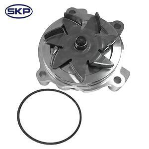New Water Pump  Skyward Automotive  SK1255890