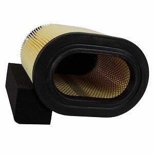 Air Filter  Motorcraft  FA1927