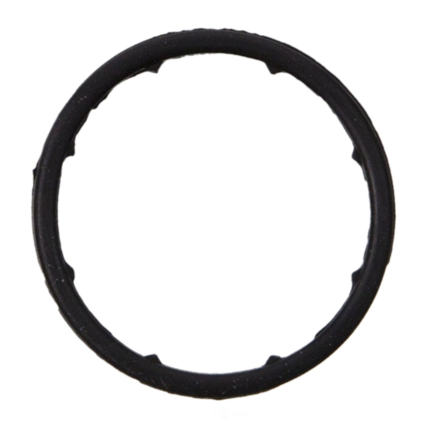 Oil Cooler Seal   Fel-Pro   71343