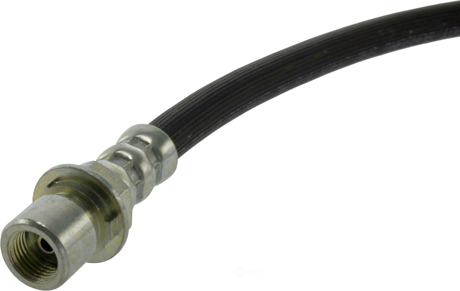 Rr Brake Hose  Centric Parts  150.66336
