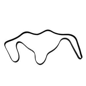 Serpentine Belt  Skyward Automotive  SK061054