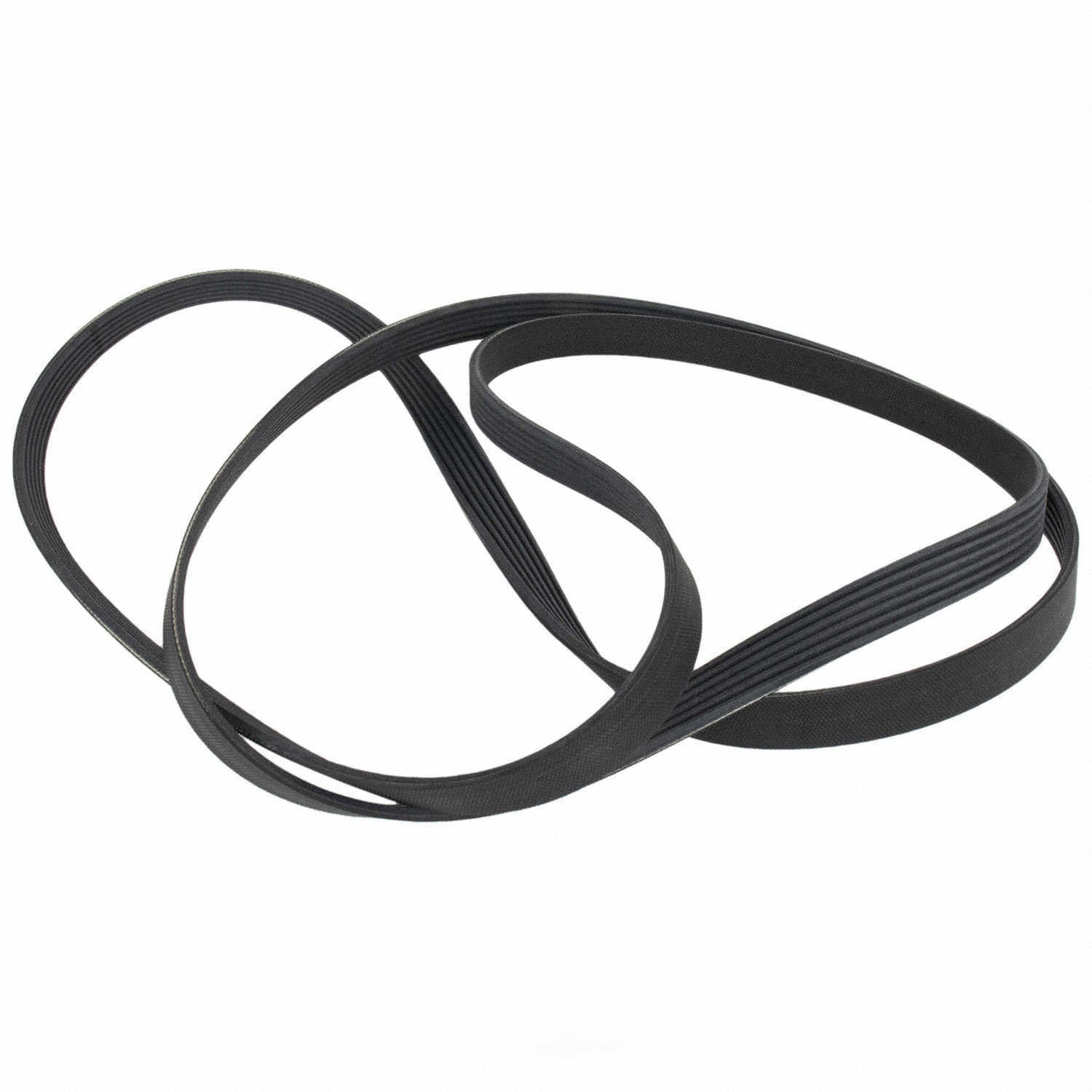 Serpentine Belt  Motorcraft  JK6-1064