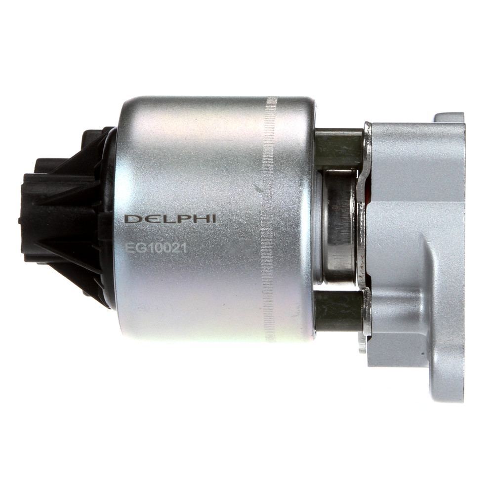 EGR Valve  Delphi  EG10021