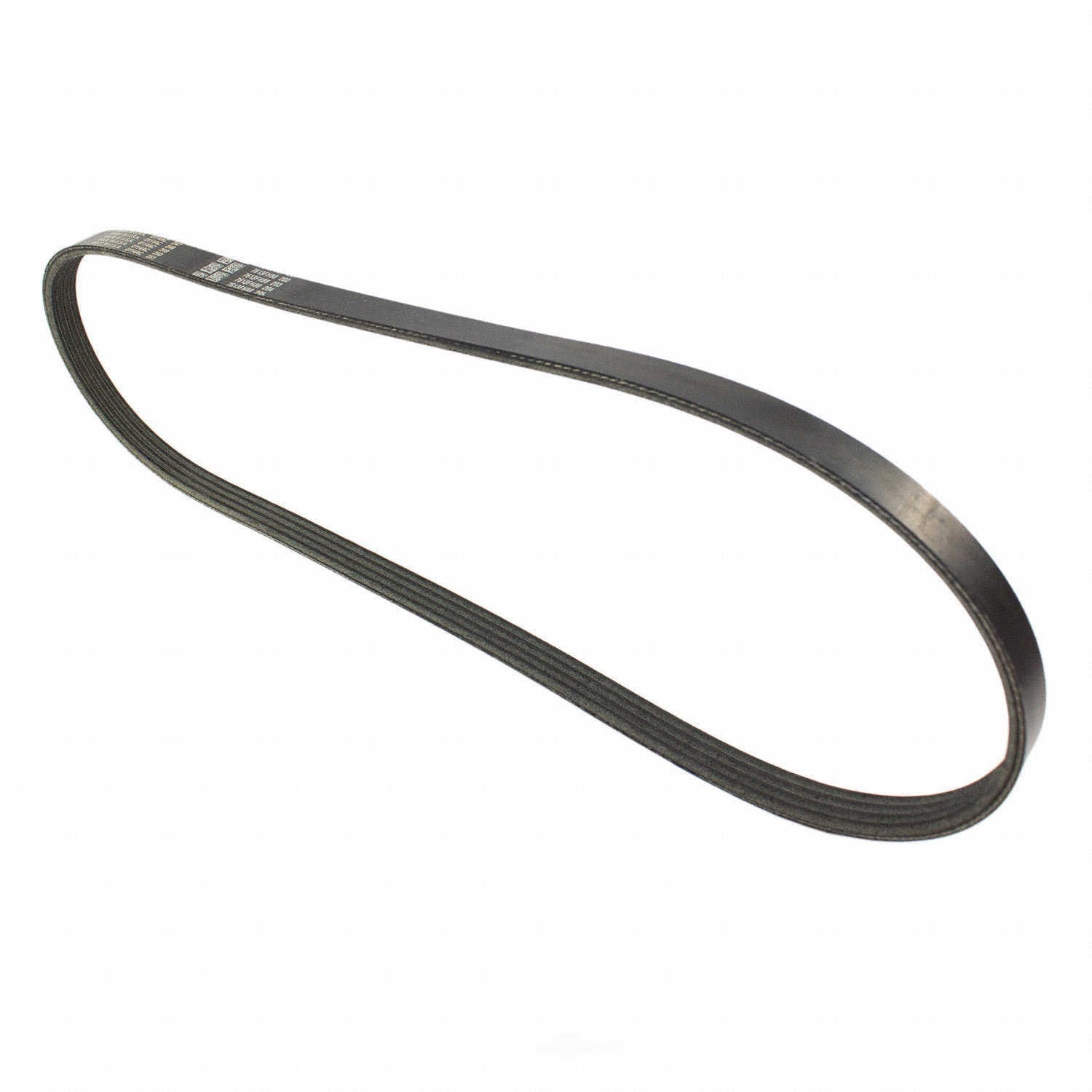 Serpentine Belt  Motorcraft  JK4-371