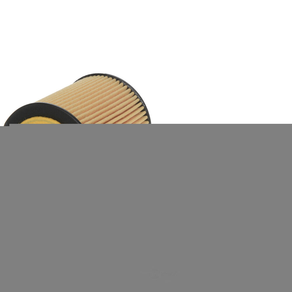 Oil Filter  Champ/Champion Labs  P960XL