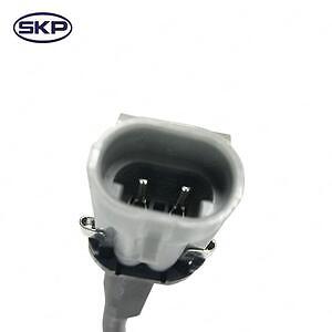 Frt Wheel ABS Sensor  Skyward Automotive  SK970284