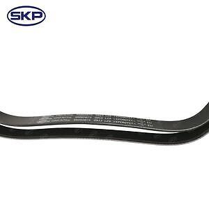 Serpentine Belt  Skyward Automotive  SK060875