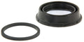 Rr Brake Caliper Kit  Centric Parts  143.34047