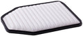 Air Filter  Power Train Components  PA5819
