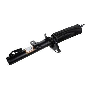 Frt Strut  Motorcraft  AST84766