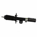 Shock Absorber  Motorcraft  AST24666