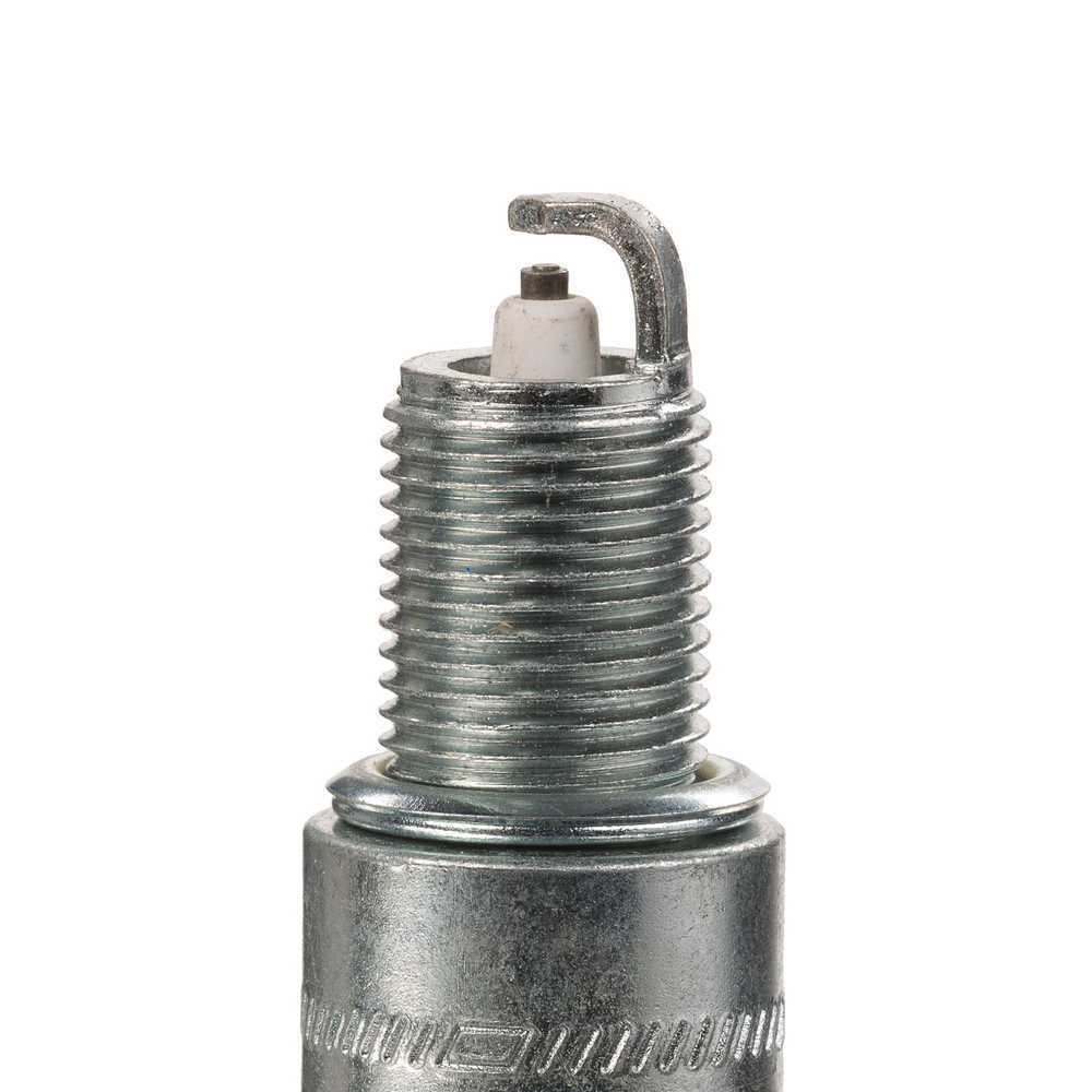 Platinum Spark Plug  Champion Spark Plug  3031
