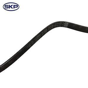 Serpentine Belt  Skyward Automotive  SK060930