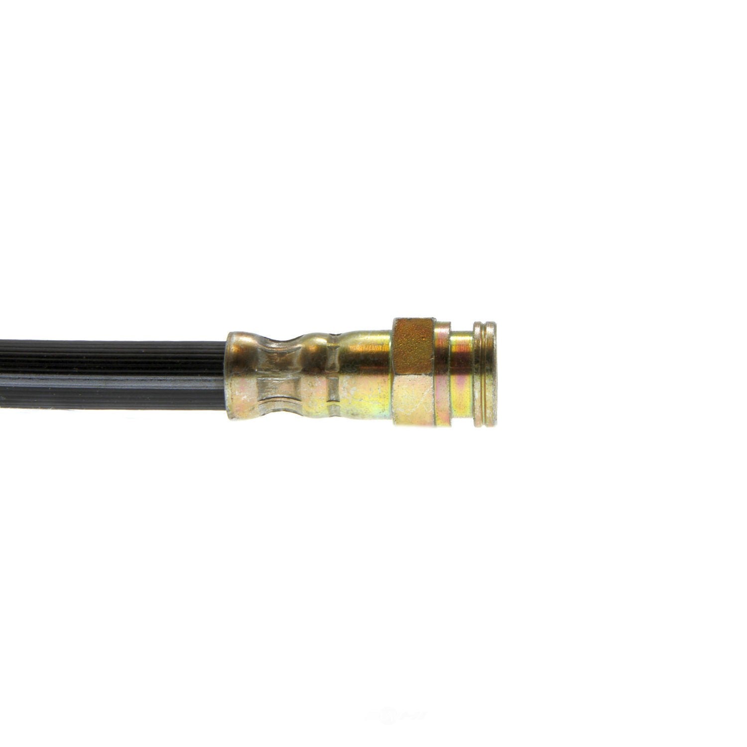 Rr Brake Hose  Centric Parts  150.42321