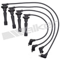 Ignition Wire Set  Walker Products  924-1247