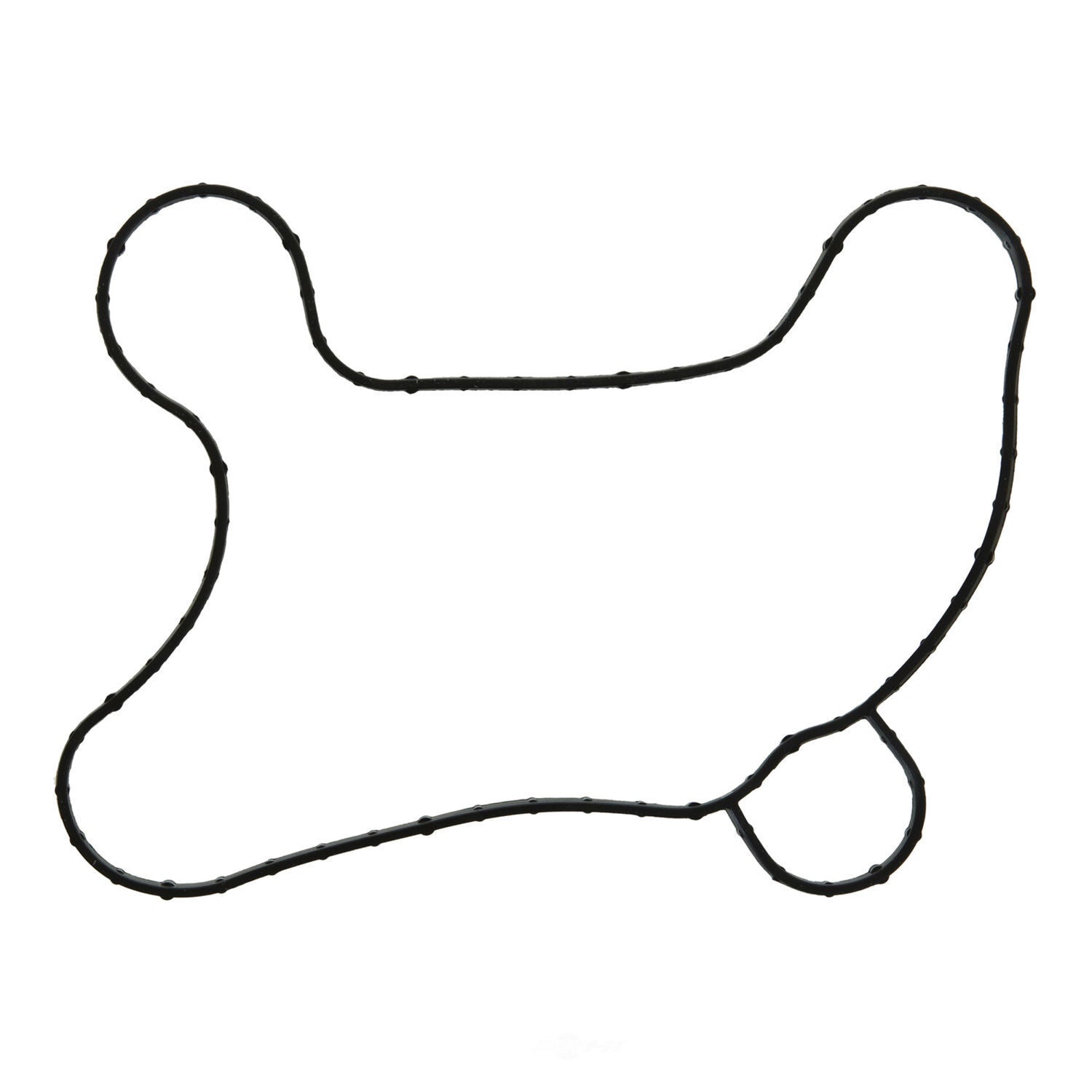Water Pump Mounting Gasket   Fel-Pro   35996