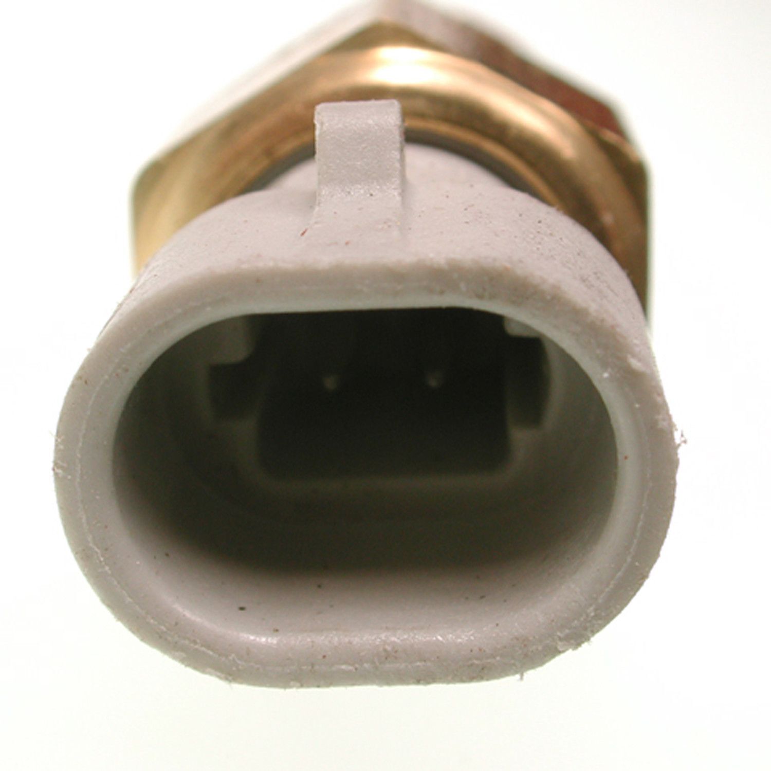 Intake Air Temp Sensor  Delphi  TS10080