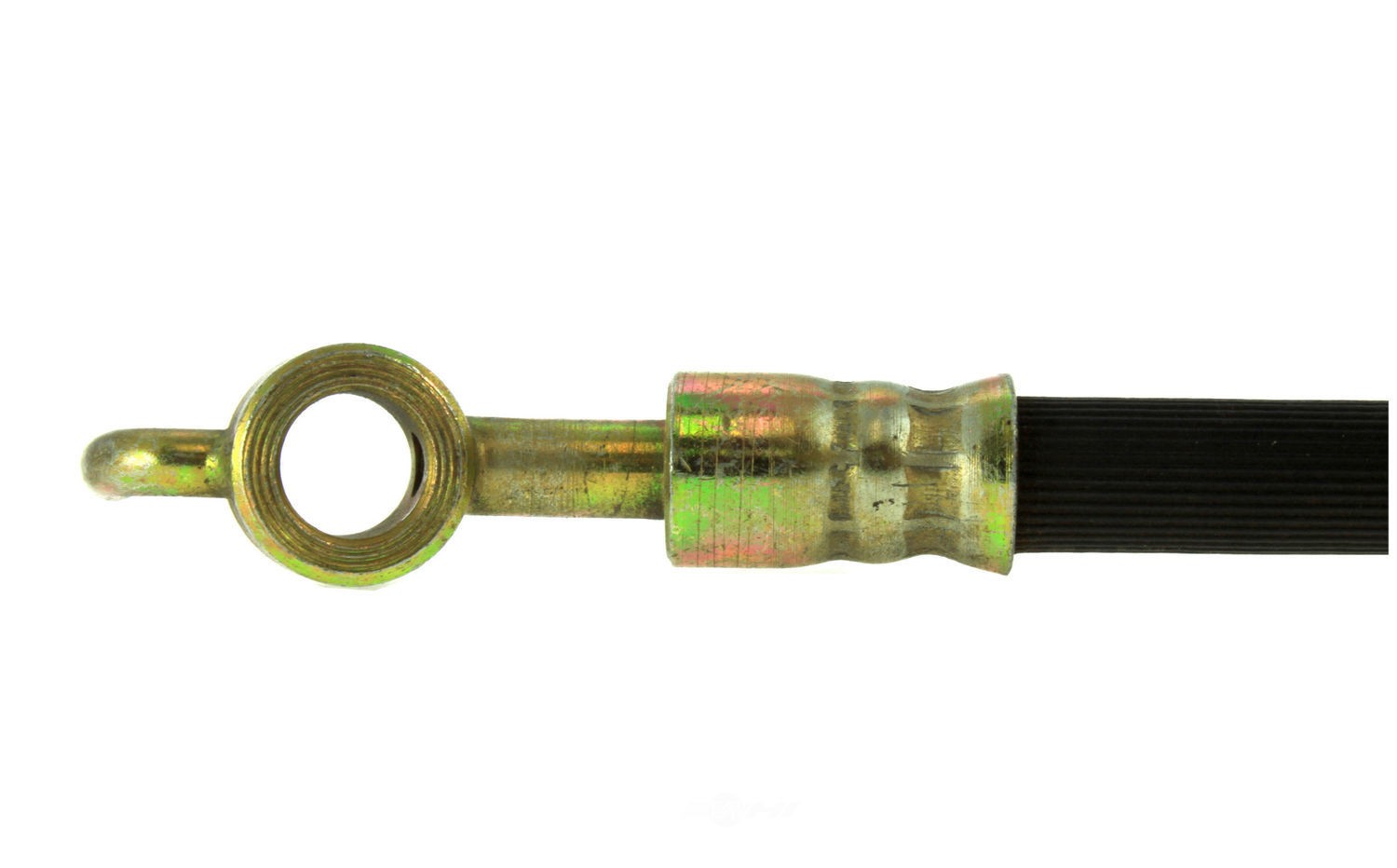 Frt Brake Hose  Centric Parts  150.42013