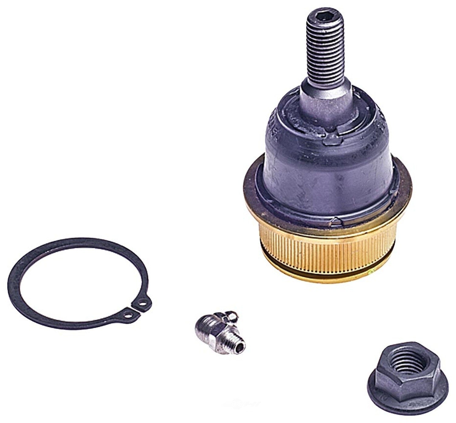 Lower Ball Joint   FVP   BJ81225