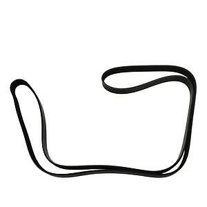 Serpentine Belt  Skyward Automotive  SK060866