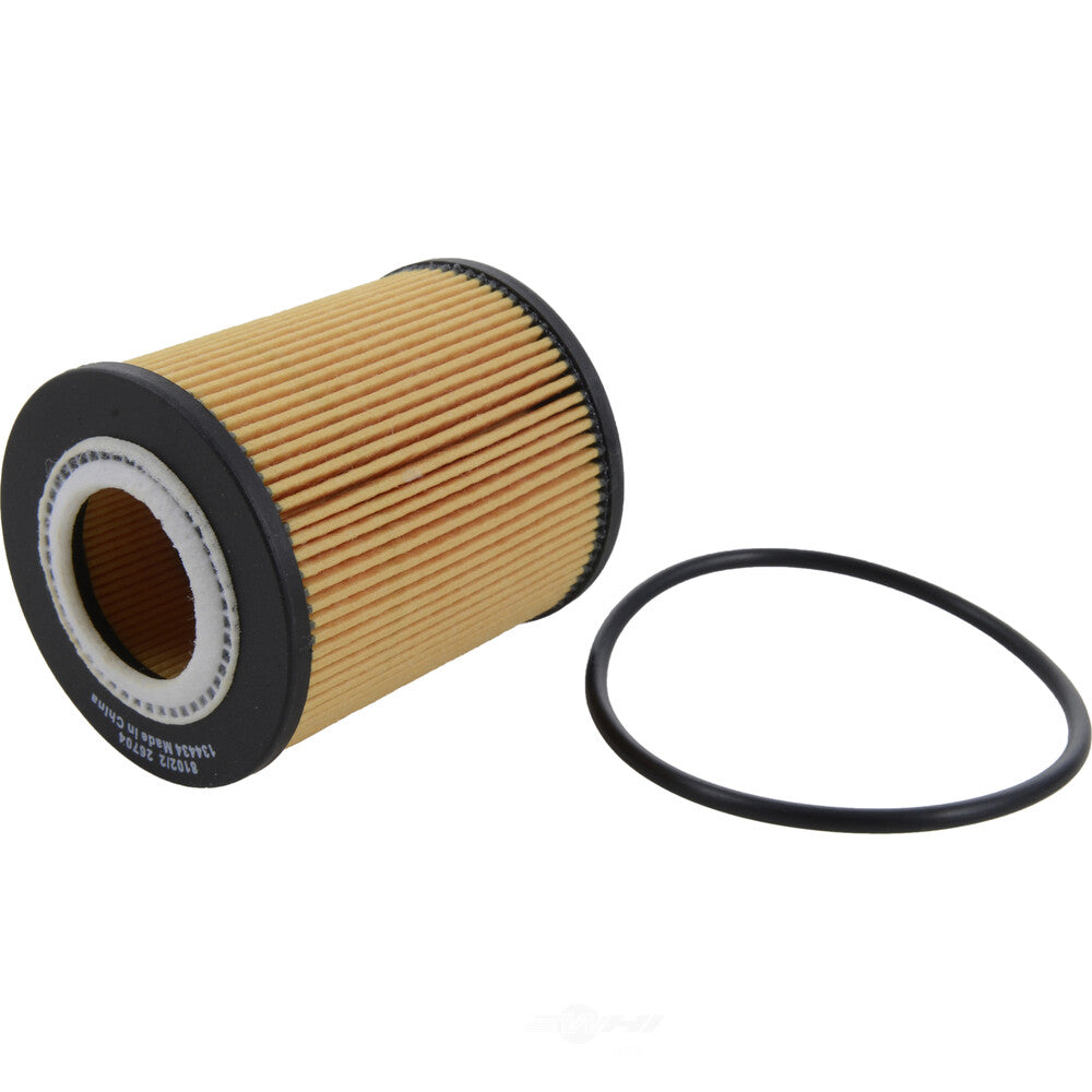 Oil Filter  Champ/Champion Labs  P2224