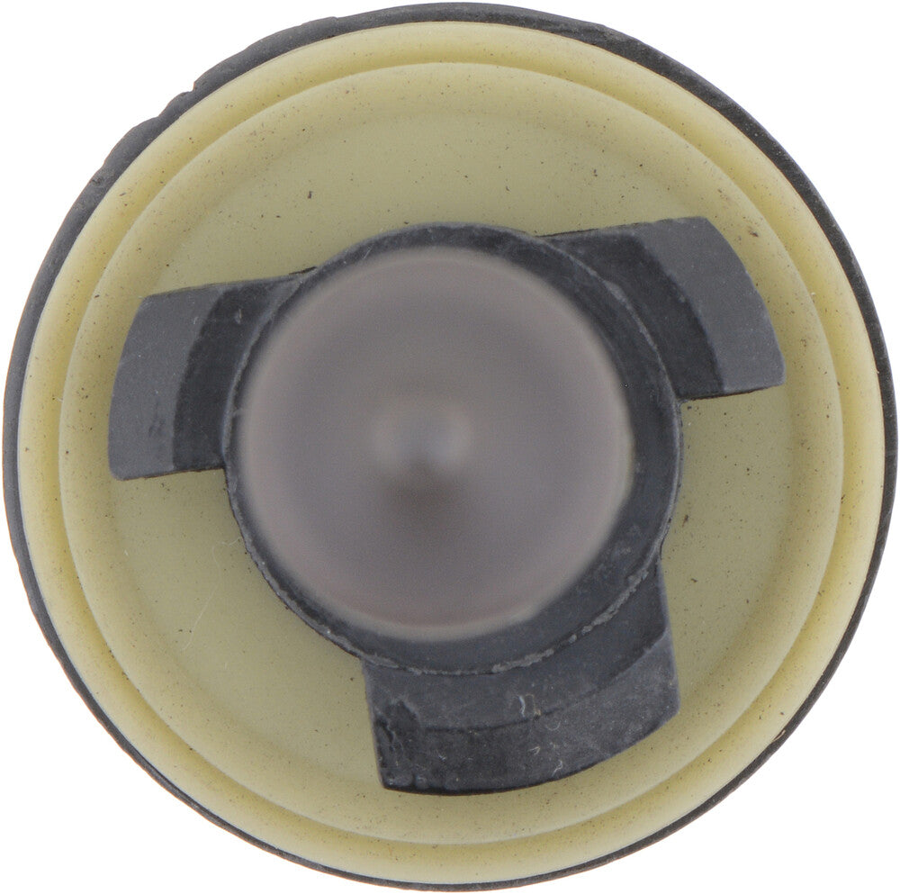 Fog Light  Philips  880B1