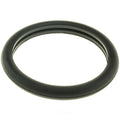 Thermostat Gasket  Motorcraft  RG632