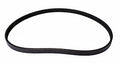 Continental Premuim Serpentine Belt 4040357S