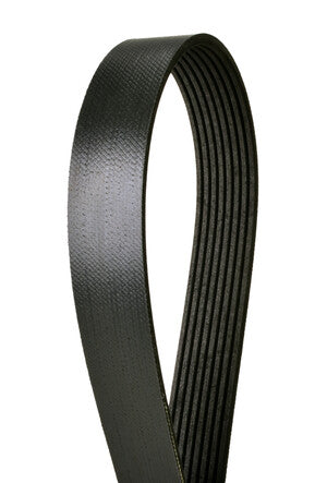 Serpentine Belt  Continental  4080550X
