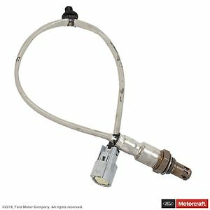 Oxygen Sensor DY1447 Motorcraft