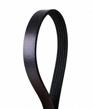 Continental Premuim Serpentine Belt 4050264S