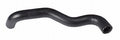 Continental Molded Radiator Hose 62243