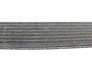Serpentine Belt  Continental  D4081254