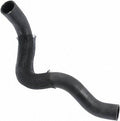 Continental Molded Radiator Hose 62317
