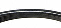 Continental Premuim Serpentine Belt D4070536