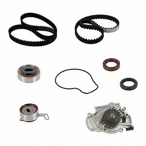 Eng Timing Belt Kit w/Water Pmp  Continental  PP244-186LK1