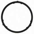 Water Pump Mounting Gasket  Mahle Original  C32566