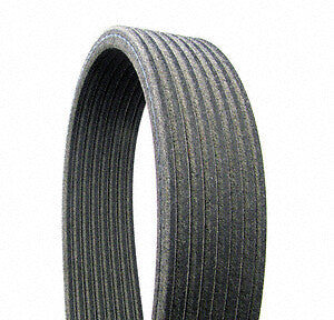 Serpentine Belt  Continental  D4081403